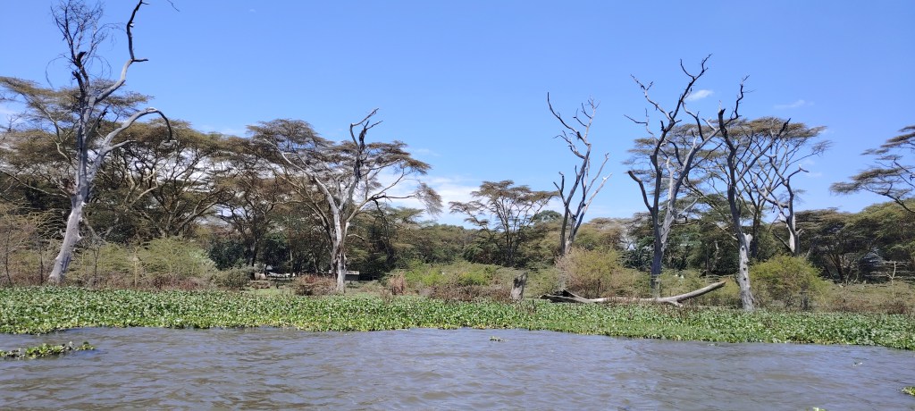 Jezero Naivaša, leto 2025.&nbsp;god.