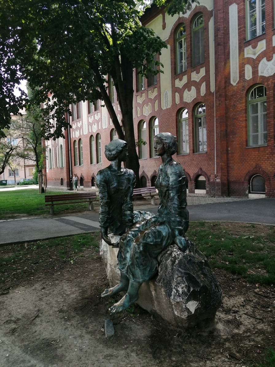 IMG_20240625_160128_resize